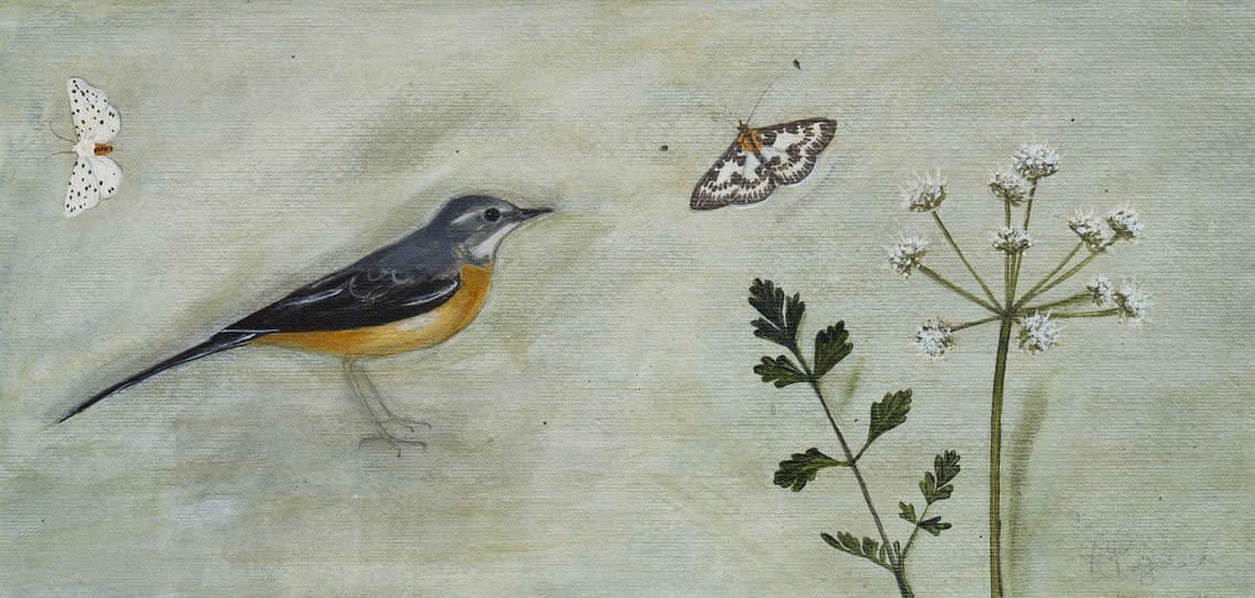 Rebecca Polyblank, Grey Wagtail, 2025
