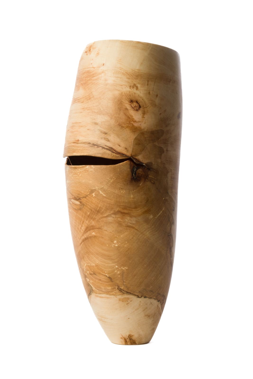 Anthony Bryant, Beech Vessel I, 2025