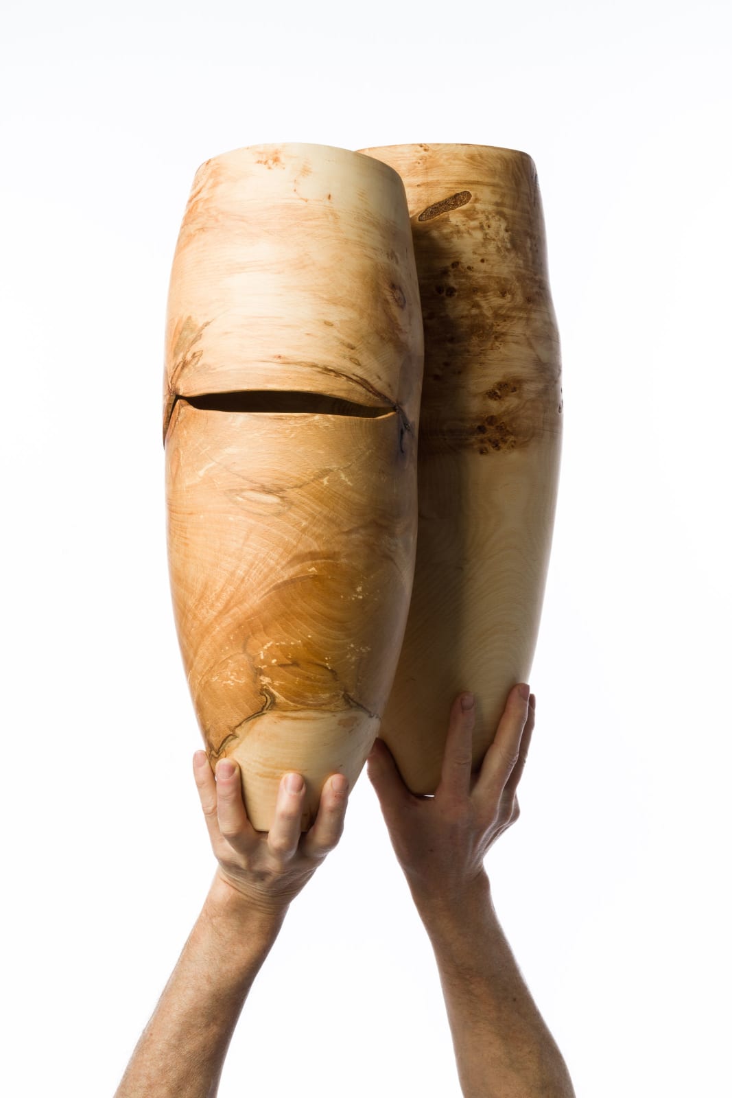 Anthony Bryant, Beech Vessel I, 2025