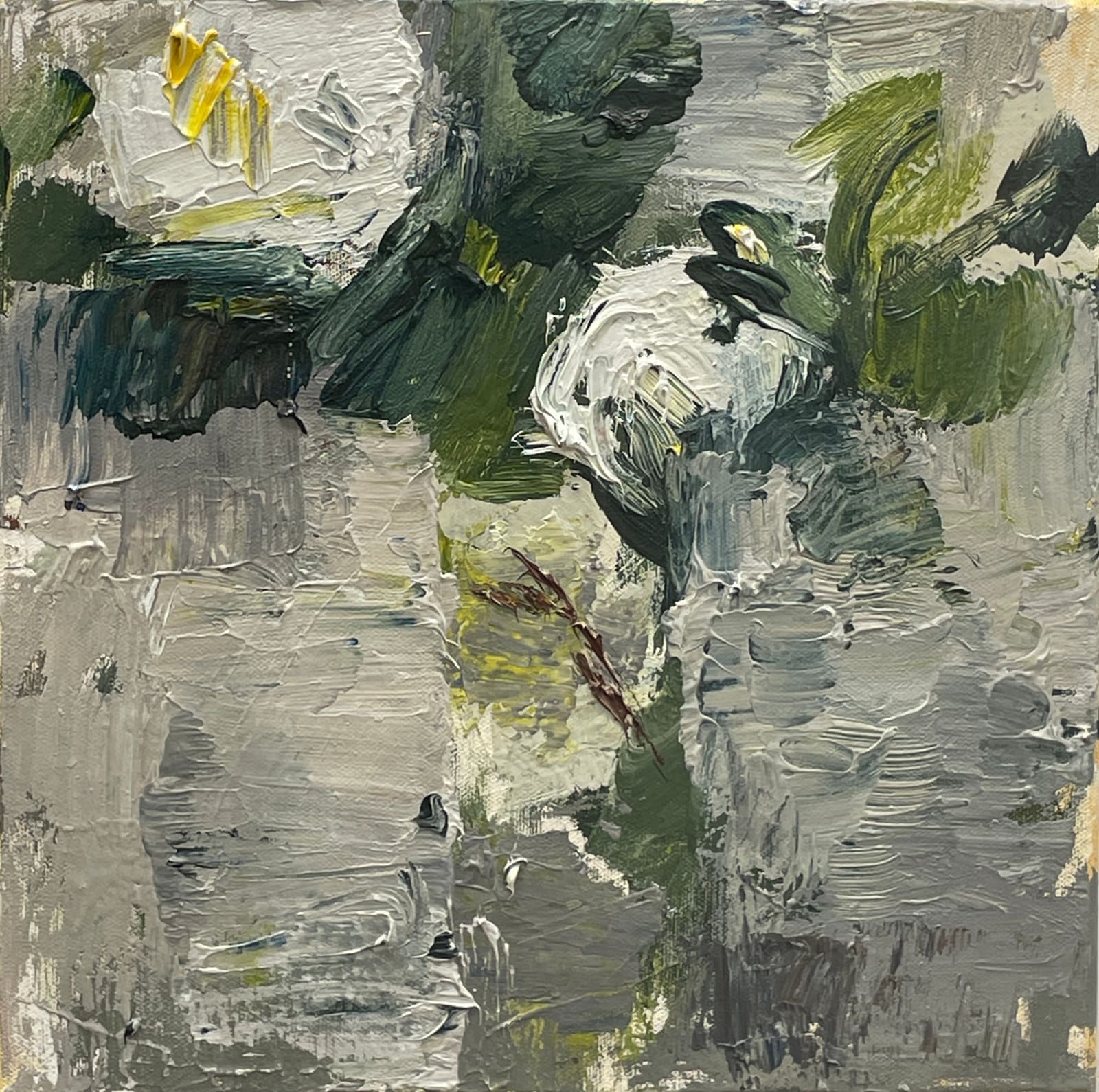 Judy Buxton, White Camellias I, 2025