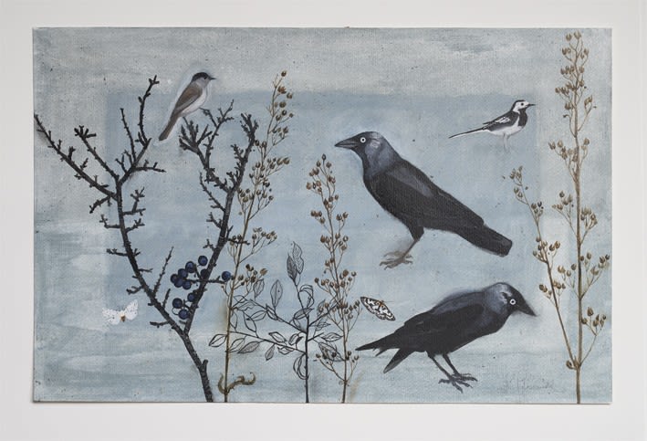 Rebecca Polyblank, Jackdaws at Trelin, 2023