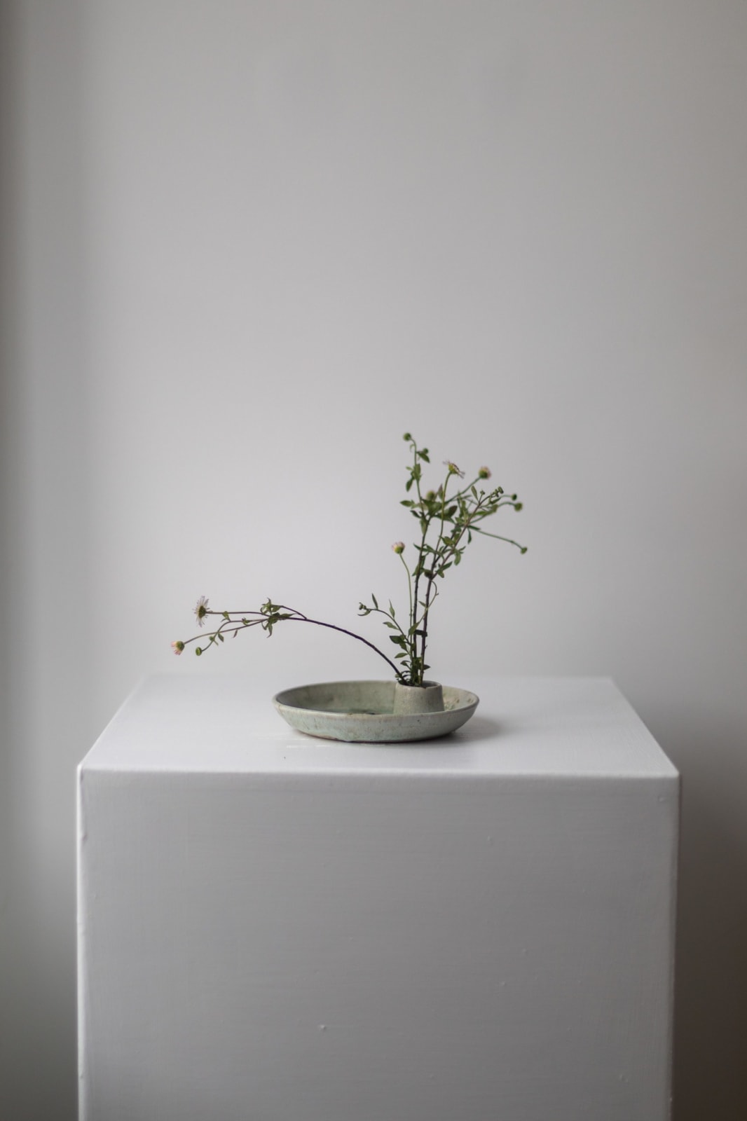 Chloé Rosetta Bell, Wild Flower and Candle Vessel with Steel Lid III