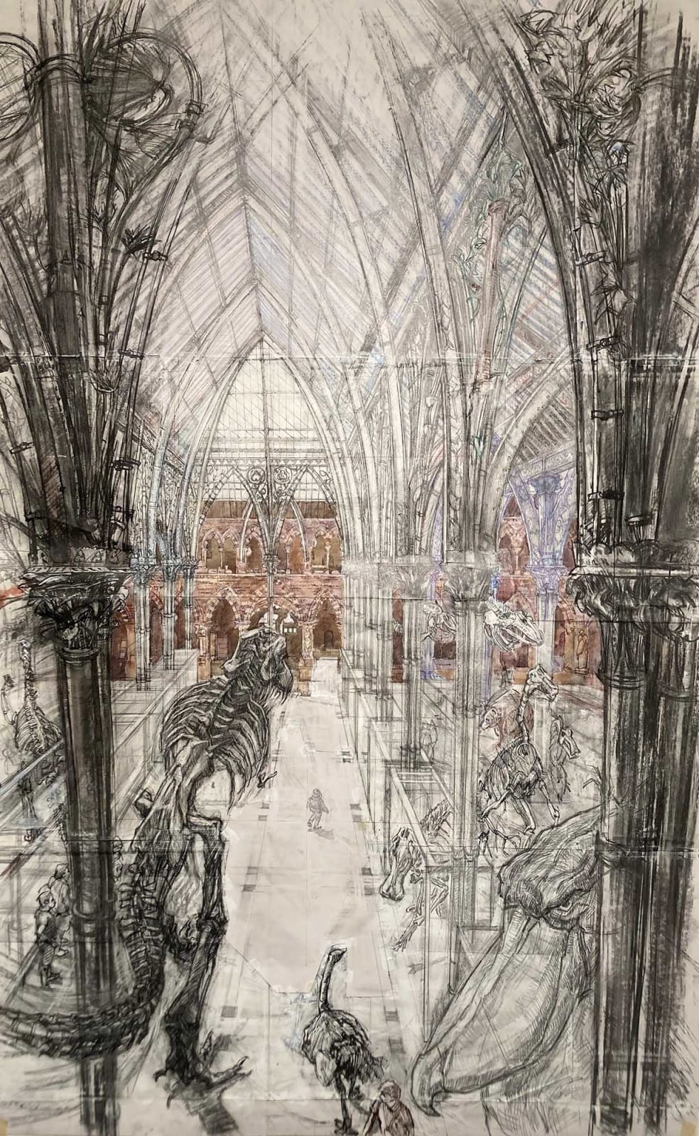 T.F. Ashley, Natural History Museum, Oxford