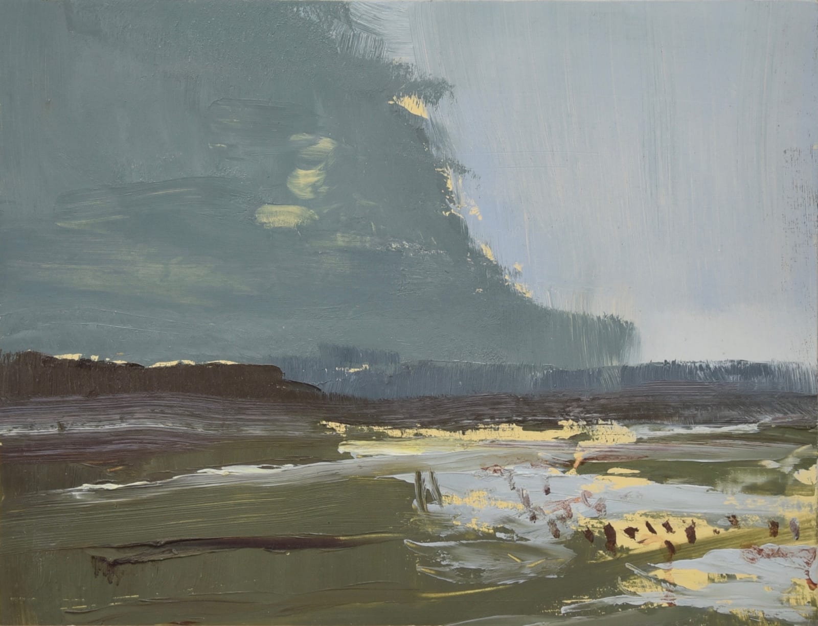 David Scott Moore, Wild Brooks in Winter