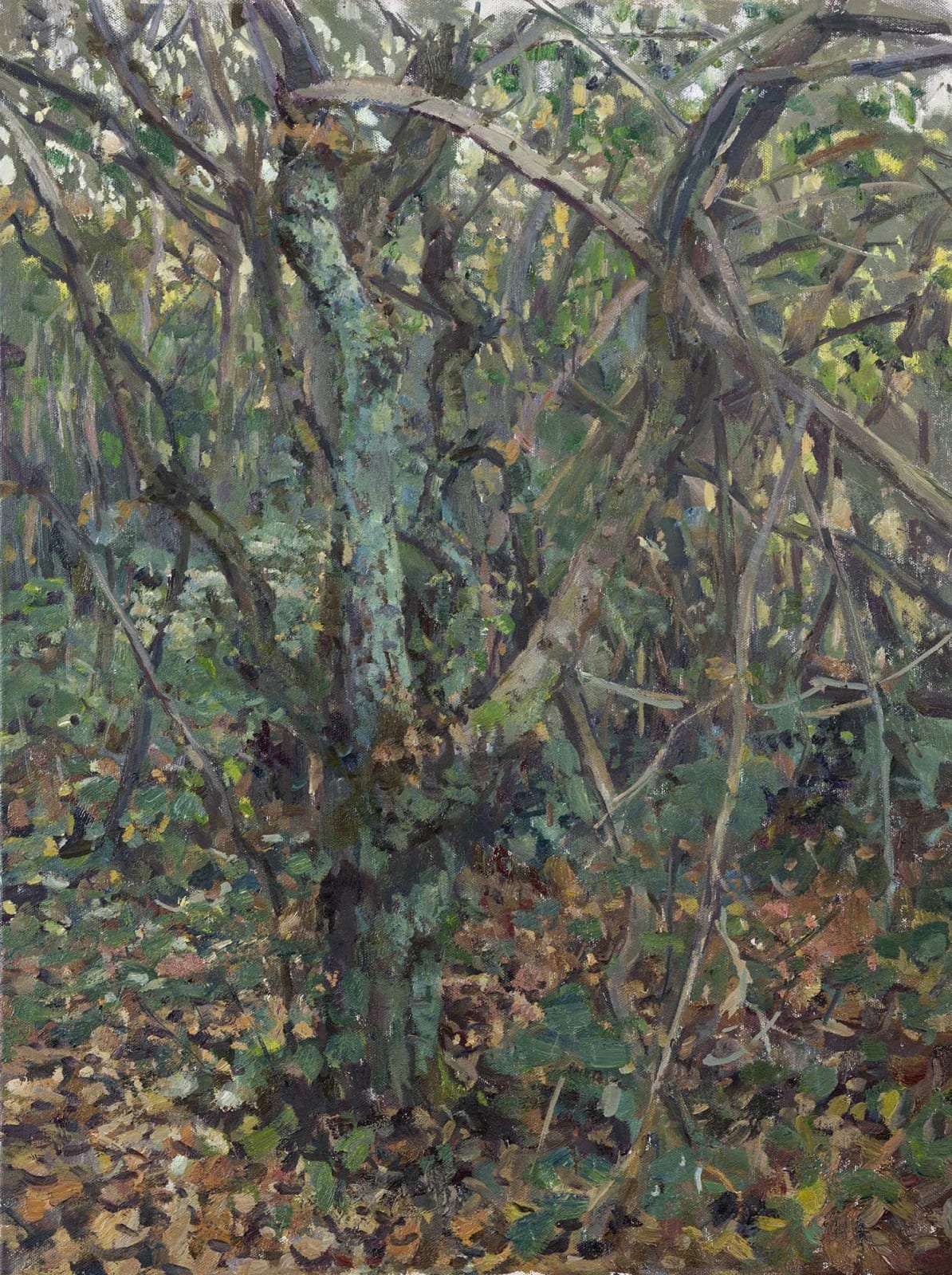 Tom Benjamin, Trees in Late Autumn, Last of the Sun