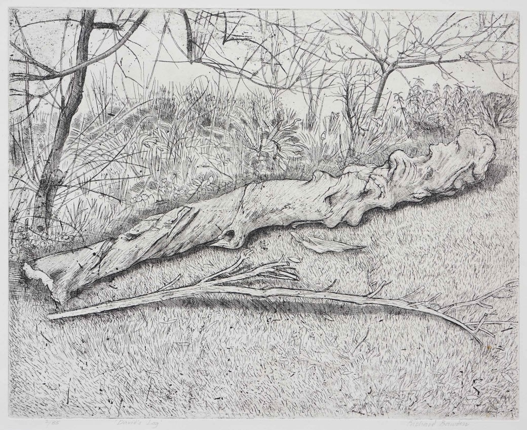 Richard Bawden, David's Log