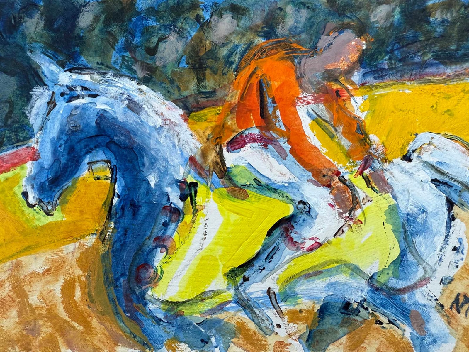 Nick Tidnam, Trick Rider