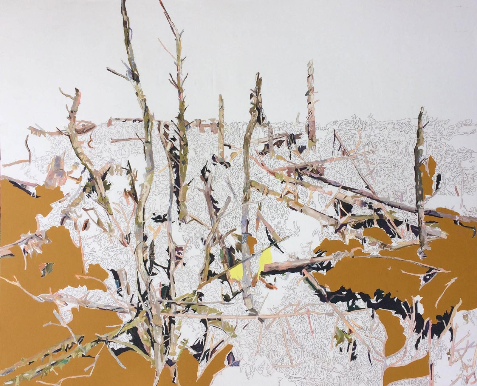 Patricia Paolozzi Cain, Languages that are made to die
