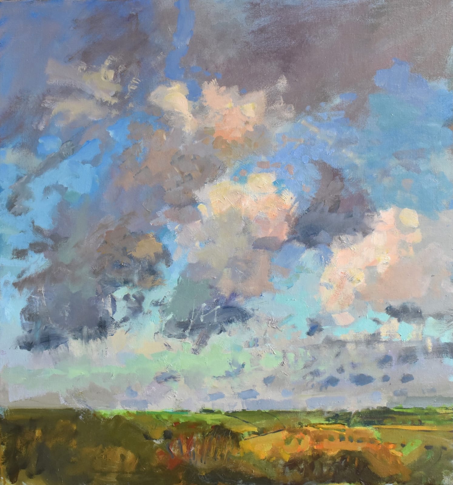 Richard Pikesley, Above Abbotsbury, Evening Sky