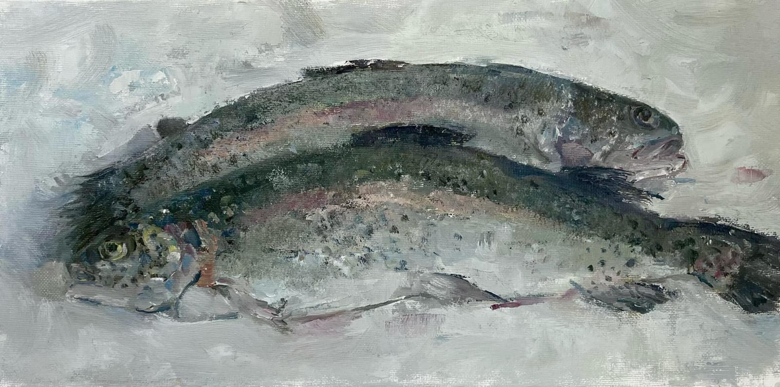 Orna Greenberg, Rainbow Trout
