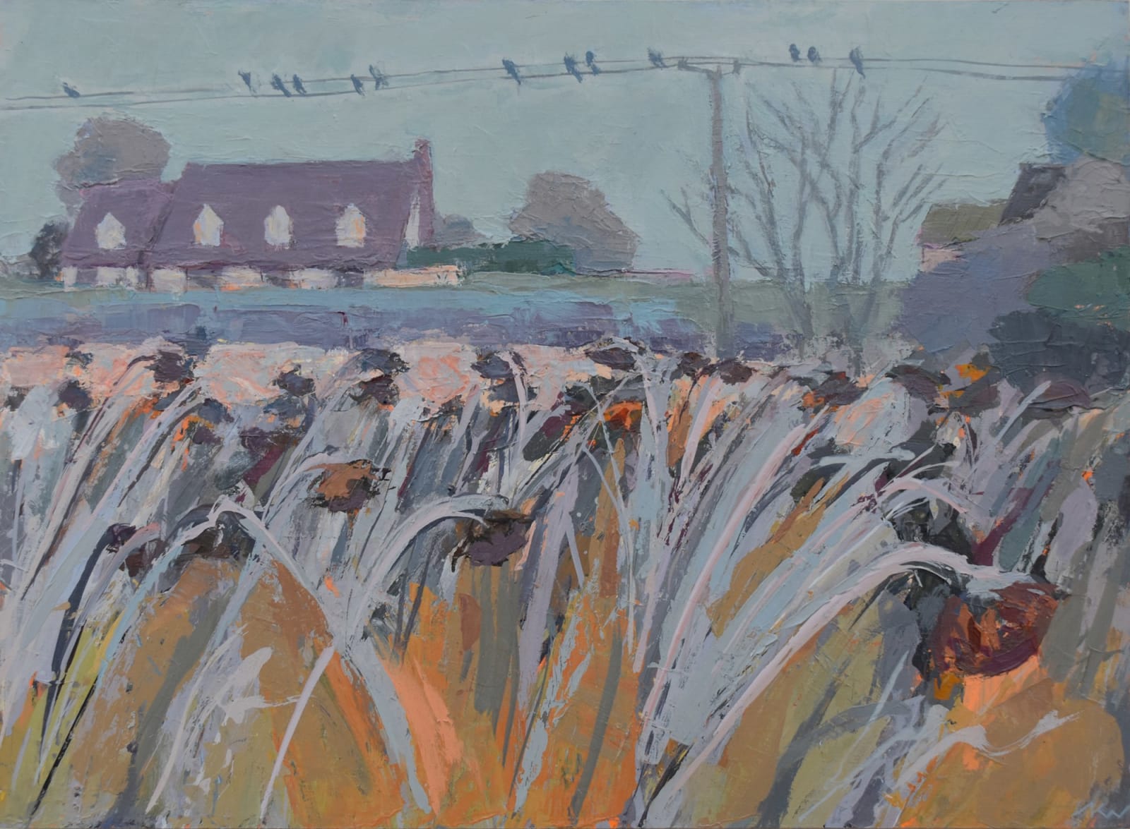Katrina Wilkie, Frosty Sunflower Field