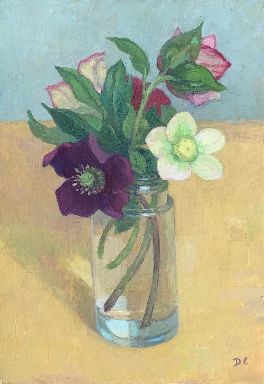 Diana Calvert, Hellebores