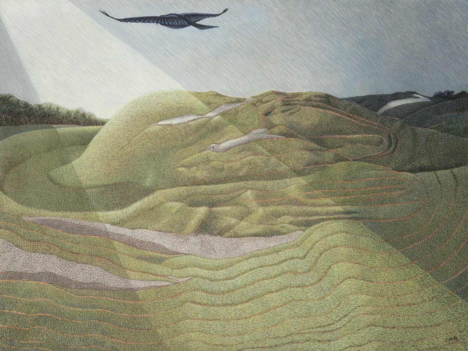 Christine Allman, Transformation