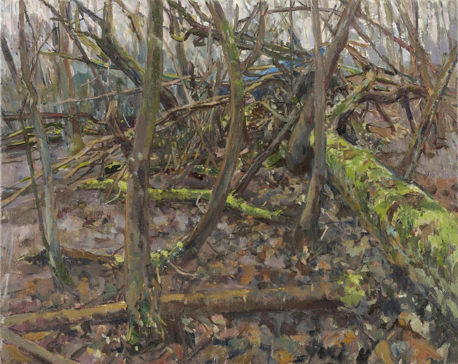 Tom Benjamin, Woods in Winter