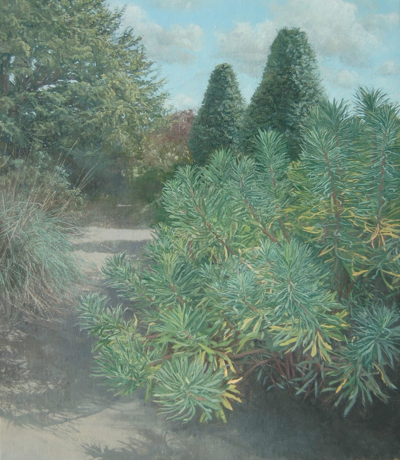 Caroline Frood, Euphorbia and Yews