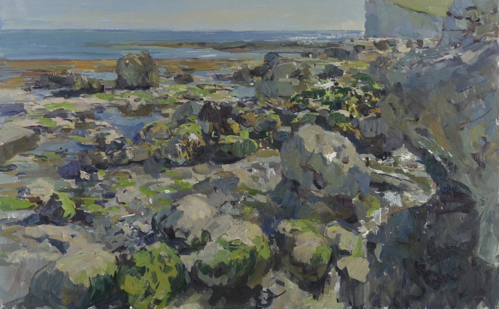 Tom Benjamin, Rockpools at Hope Gap