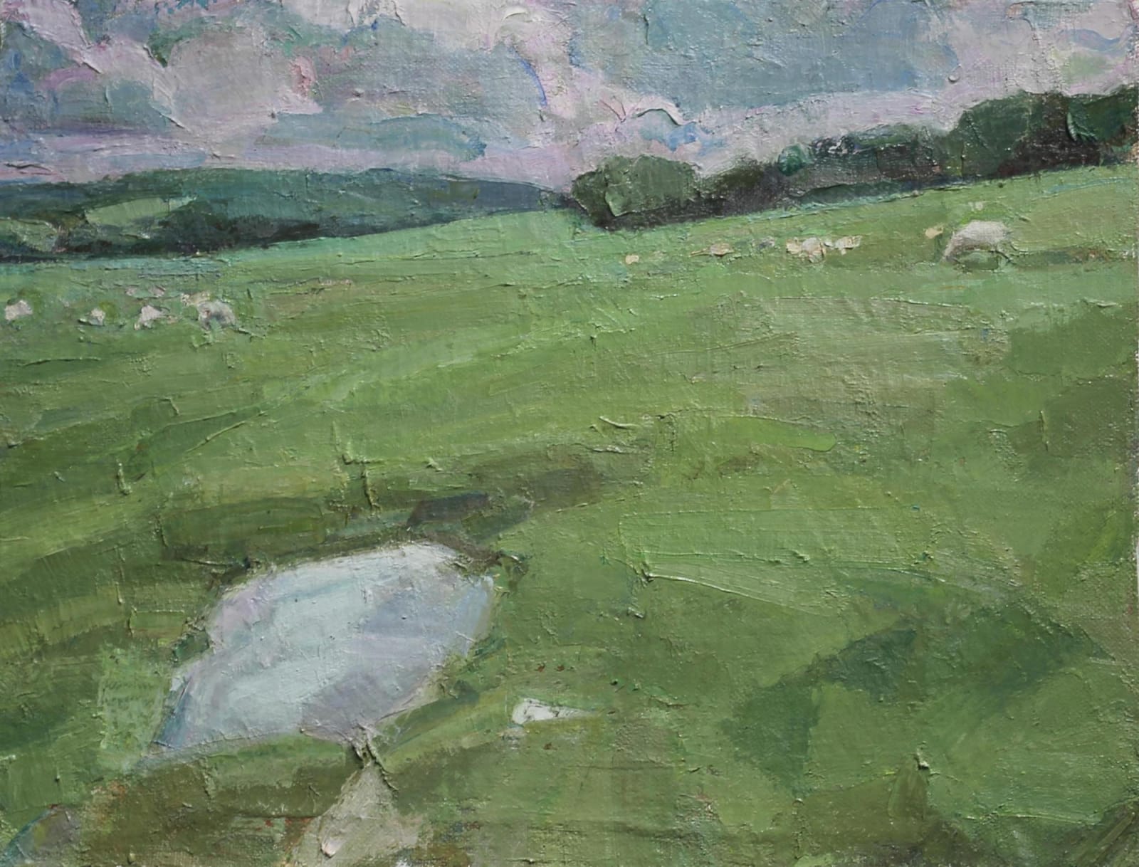 Andrew James, Sheep Grazing, The Kent Weald