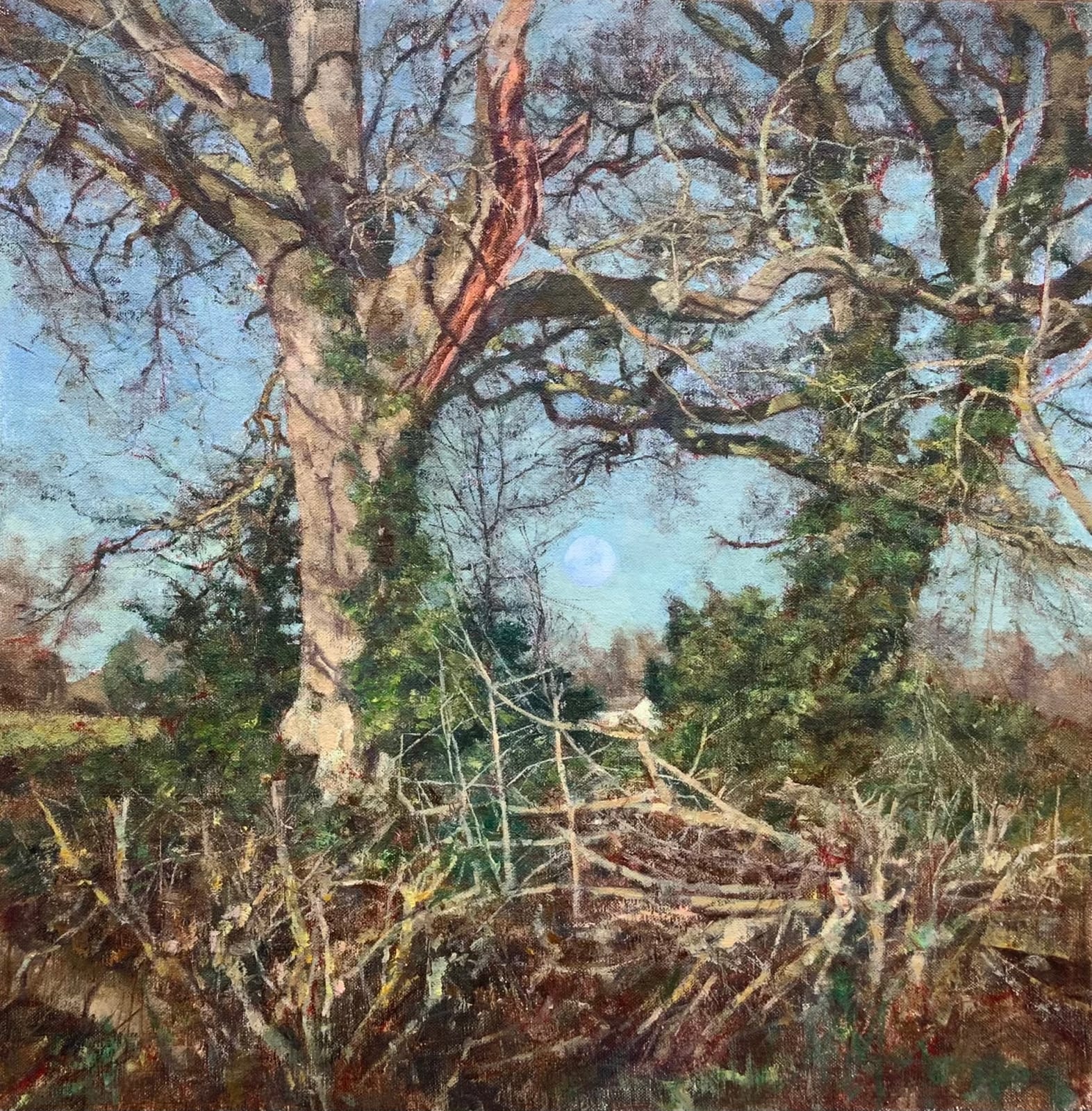 Rowan Crew, Roadside Oak, Smallhythe, Kent