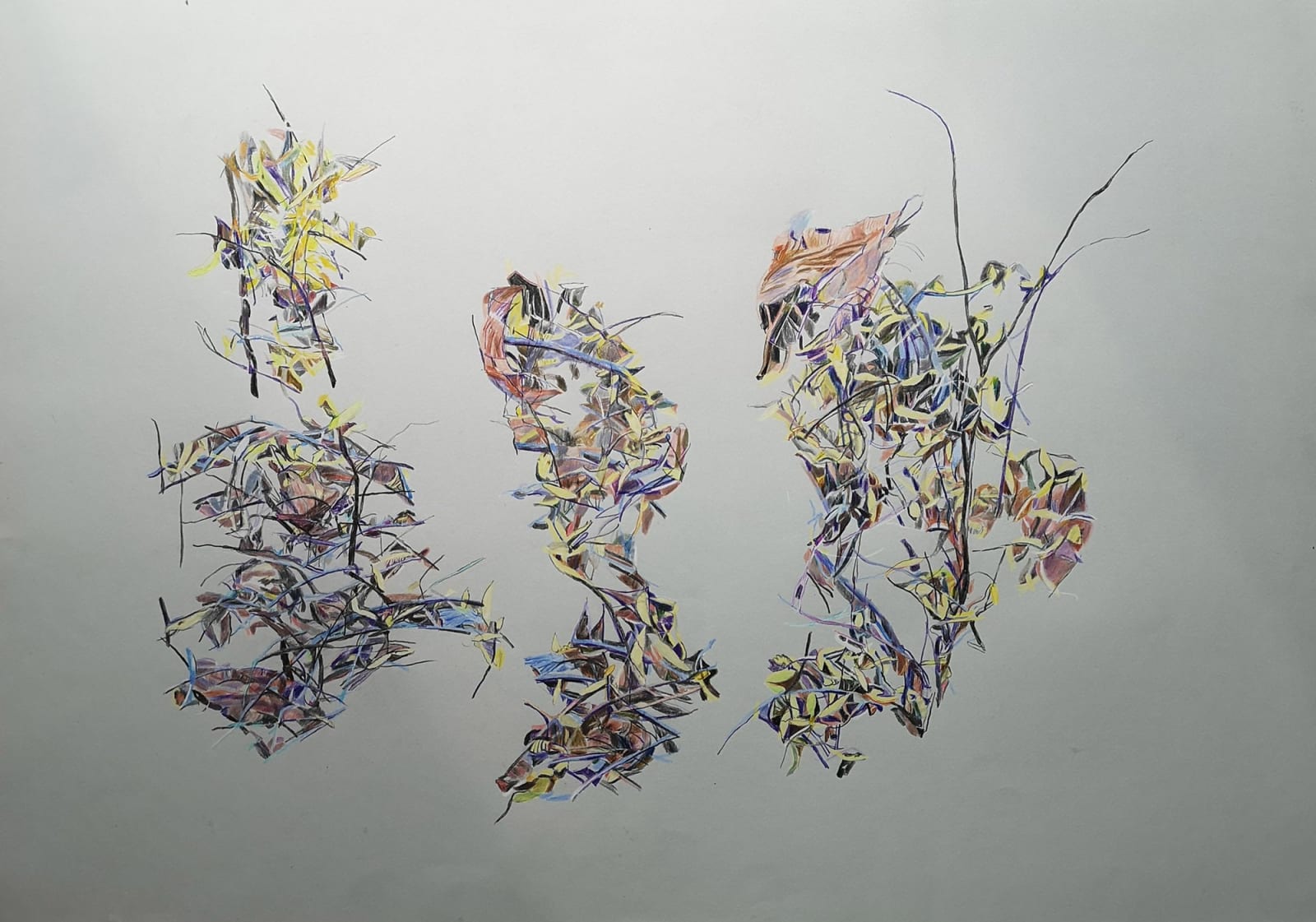 Patricia Paolozzi Cain, Light Language