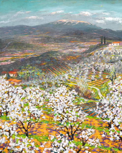 Patrick Cullen, Orchard in Spring near Mont Ventoux, Provence