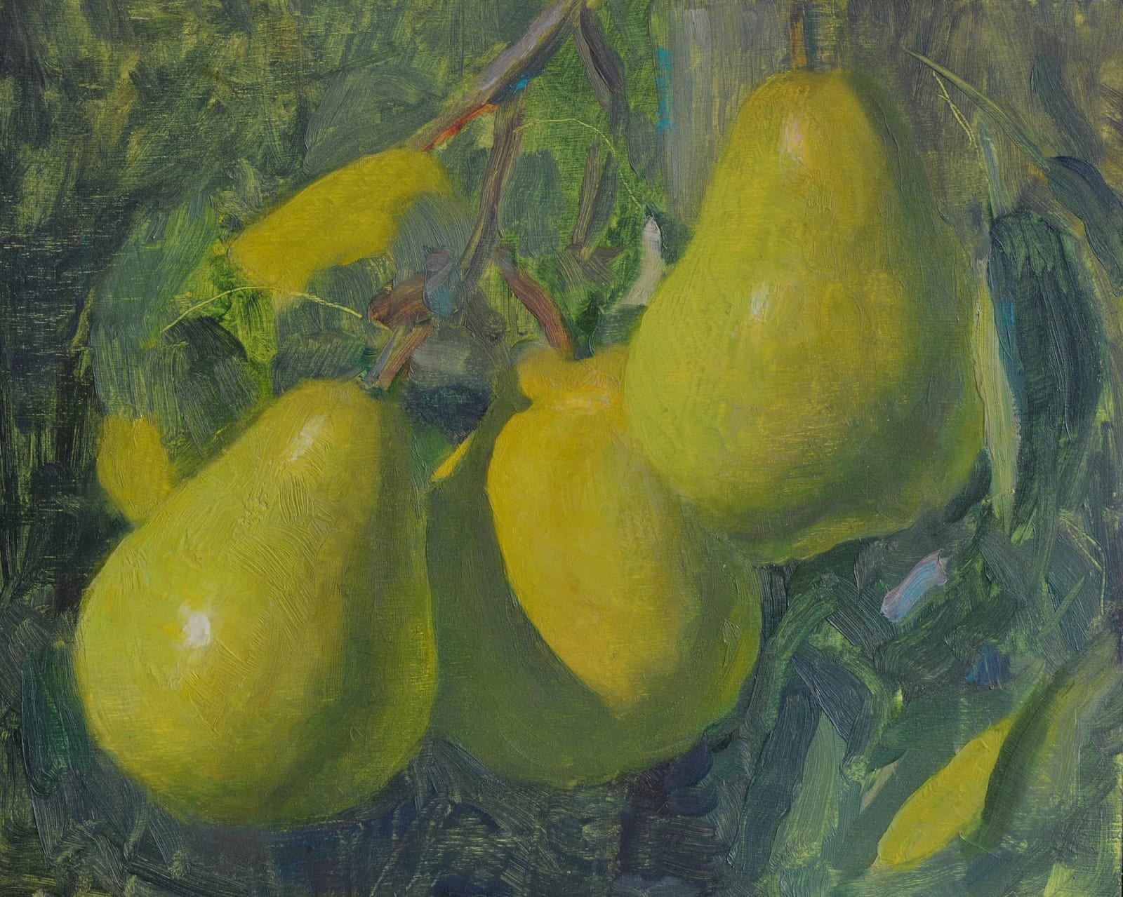Andrew Hitchcock, Sunlit Pears