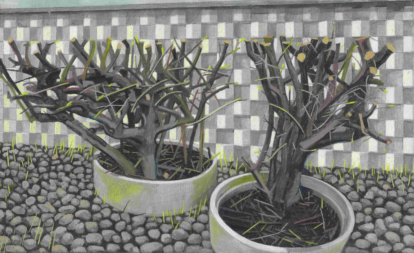 Kate Wilson, Green Shoots