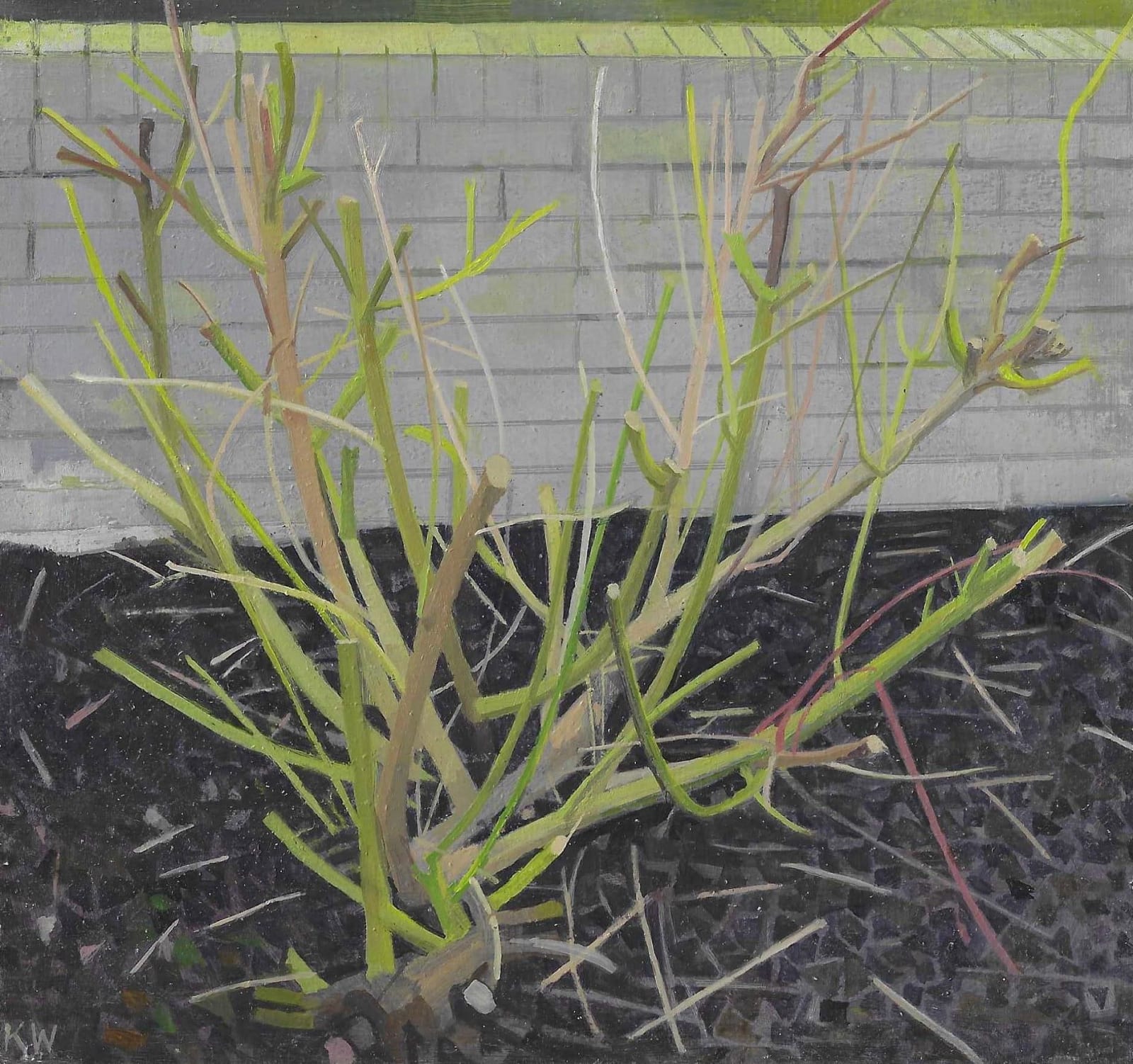 Kate Wilson, Budding Twigs