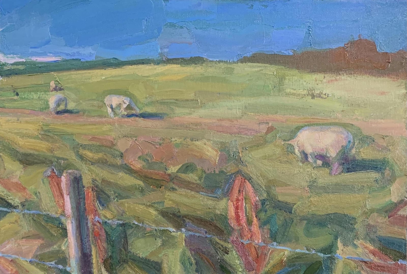 Andrew James, Sheep Grazing, Sussex