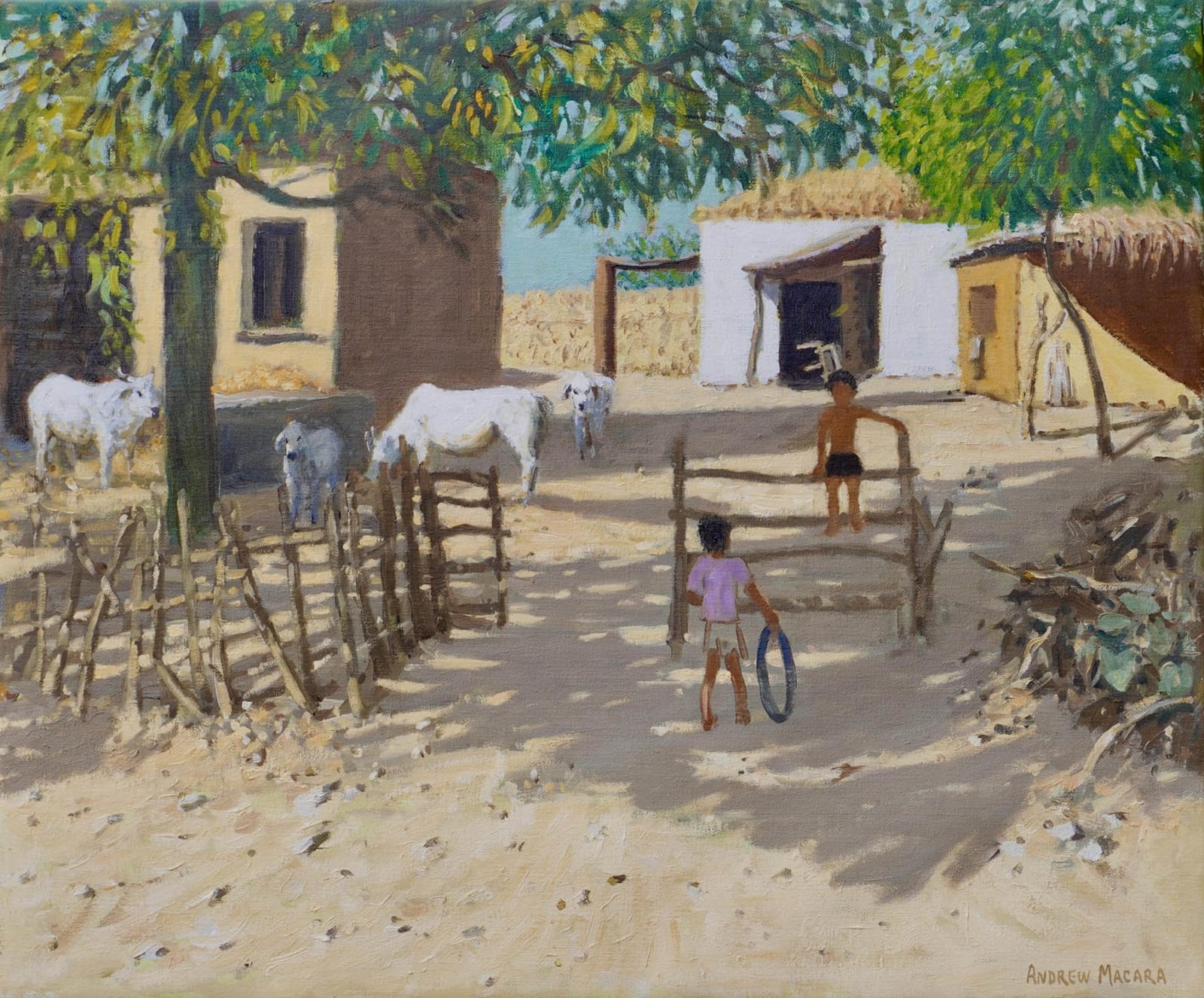 Andrew Macara, Farmyard, India