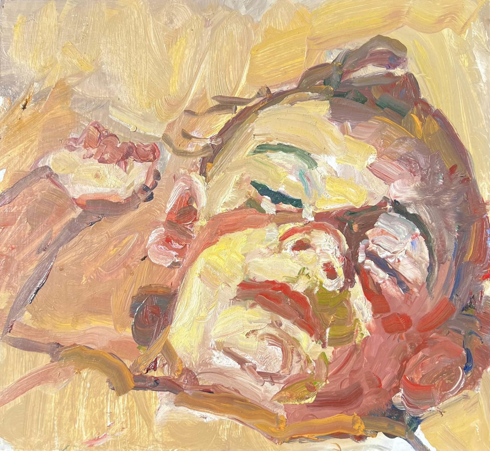Paul R Gildea, Siesta