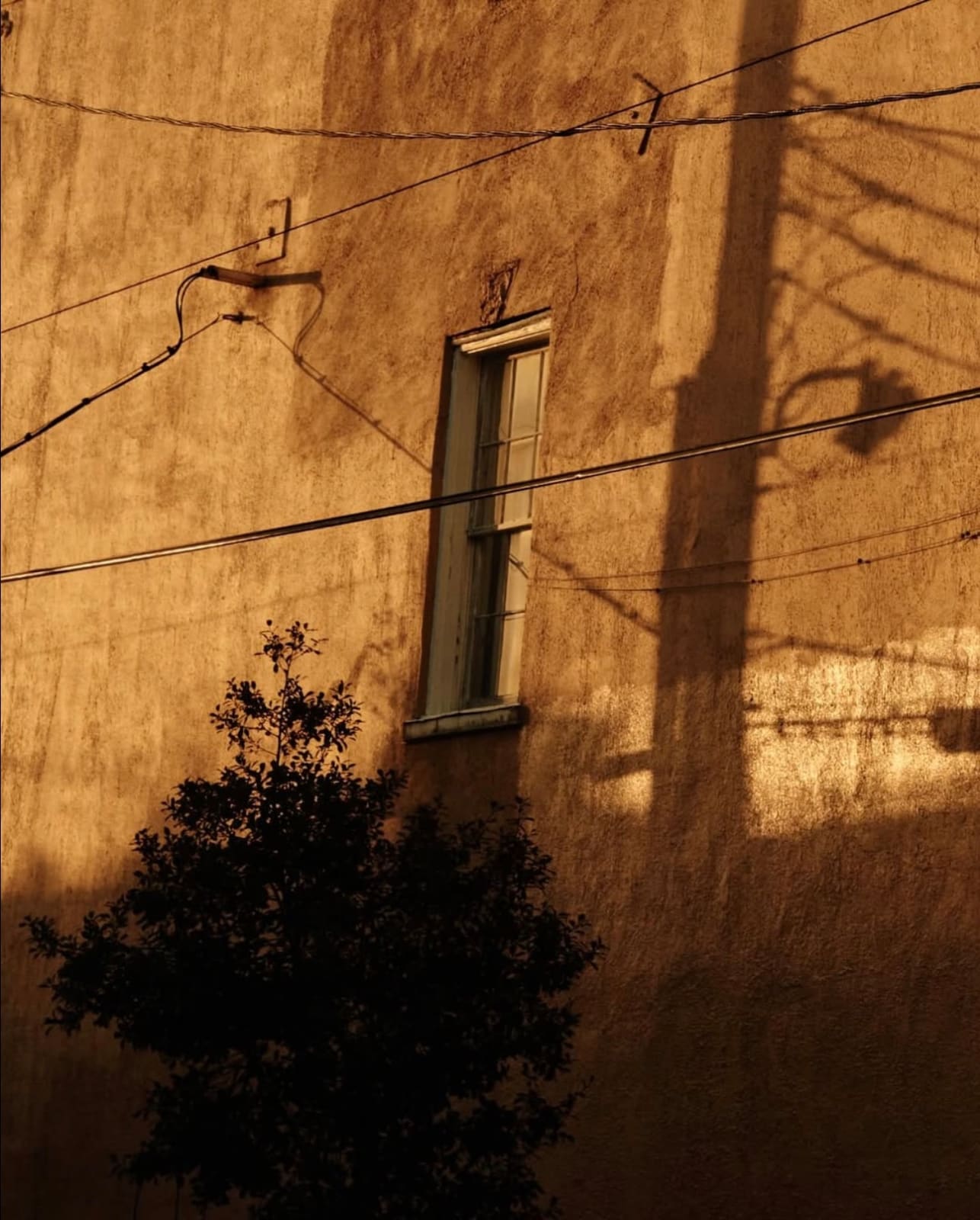 Lotte Ekkel, Nola layers #2, 2024