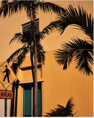Lotte Ekkel, Miami Walls #2, 2024