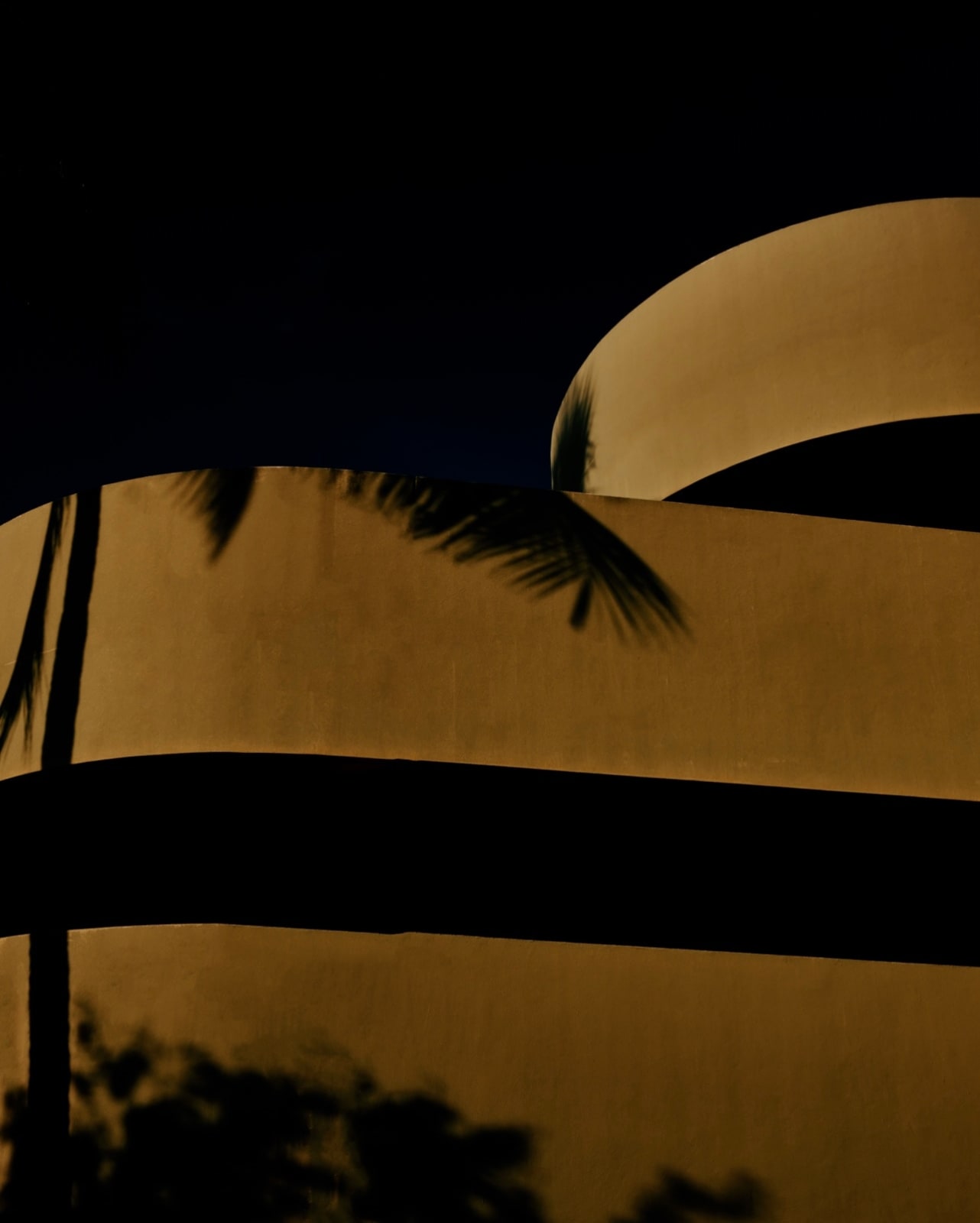 Lotte Ekkel, Walls , 2024