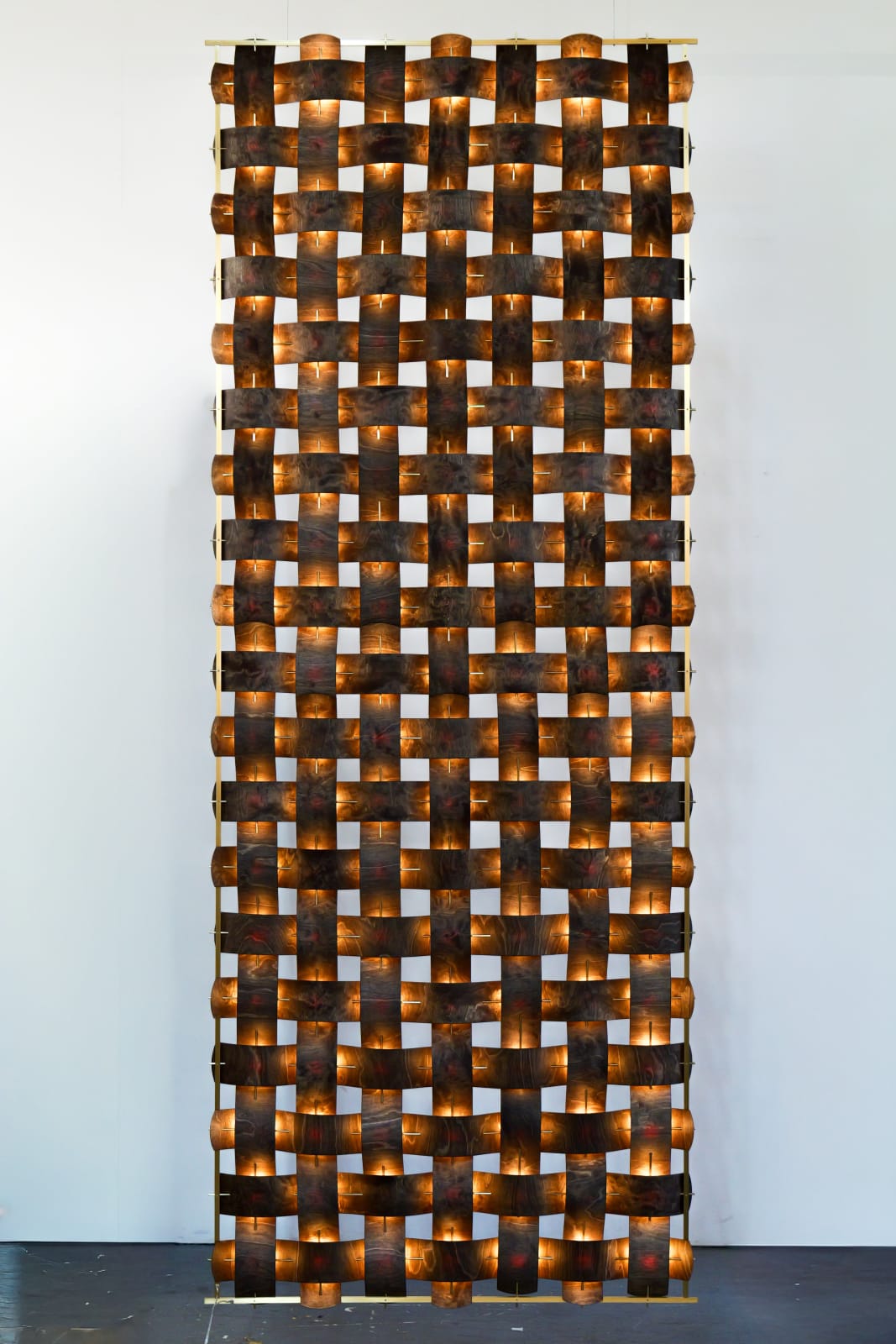 Rick Tegelaar, Tabby dark chocolate, 2025