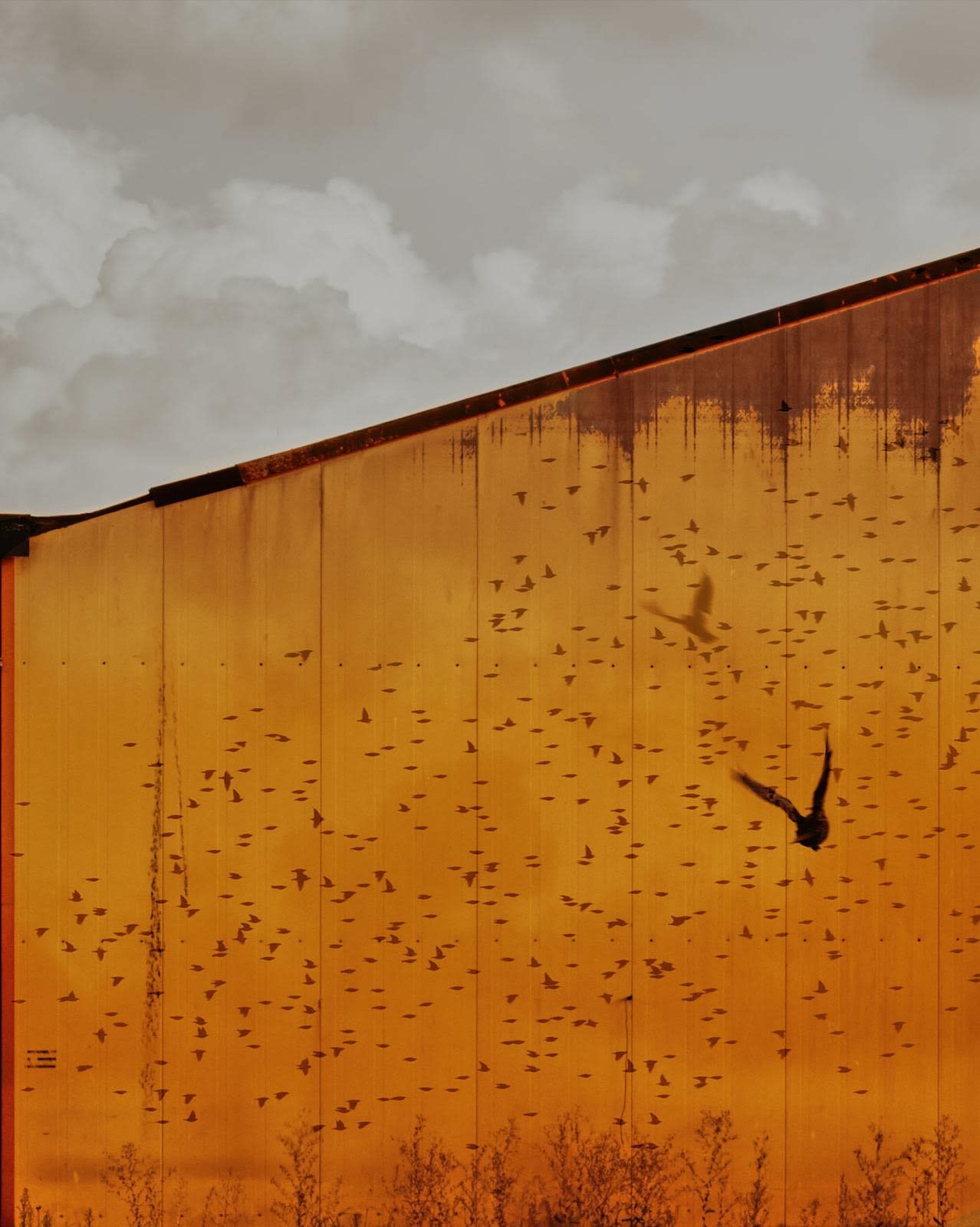 Lotte Ekkel, Amsterdam Fragments #4, 2024