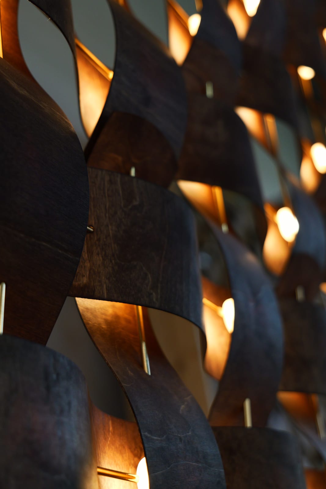 Rick Tegelaar, Tabby dark chocolate, 2025