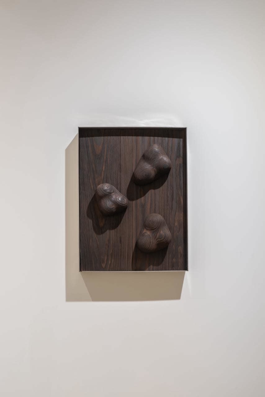 Camille De Prêtre, Echo no. 14, 2025