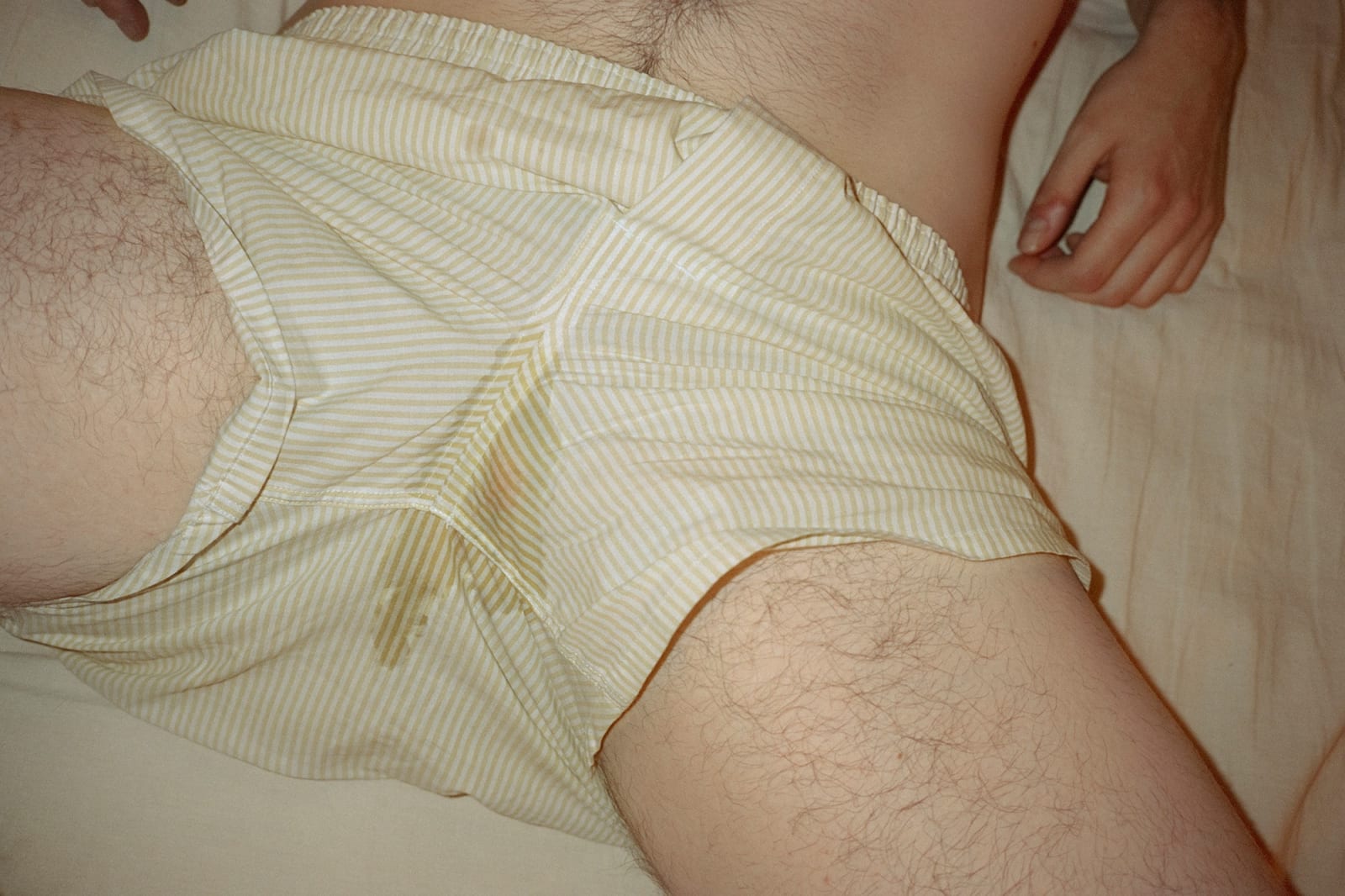 Sam Penn, Yellow Boxers, 2024