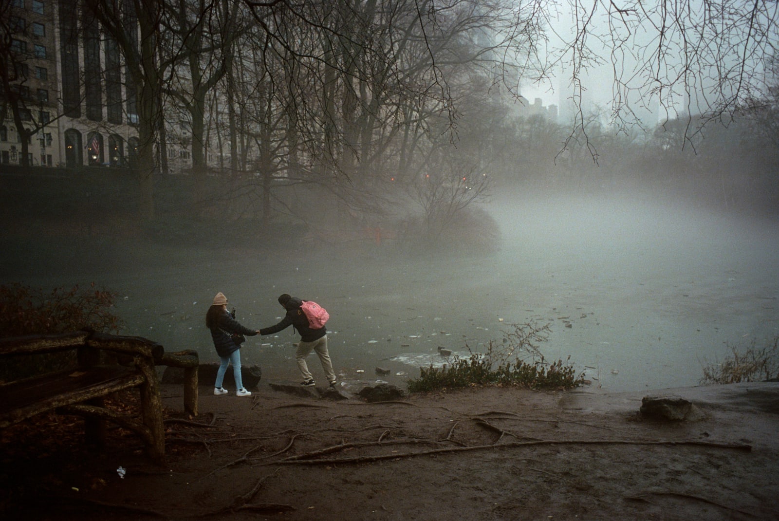 Daniel Arnold, Central Park (Duck Pond), 2022