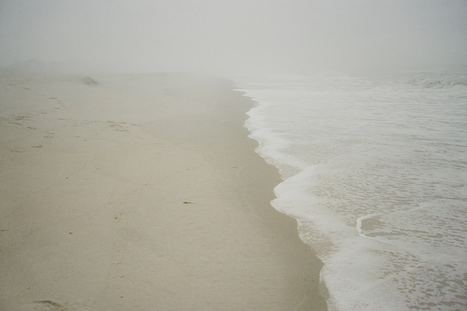 Sam Penn, Shoreline, 2025