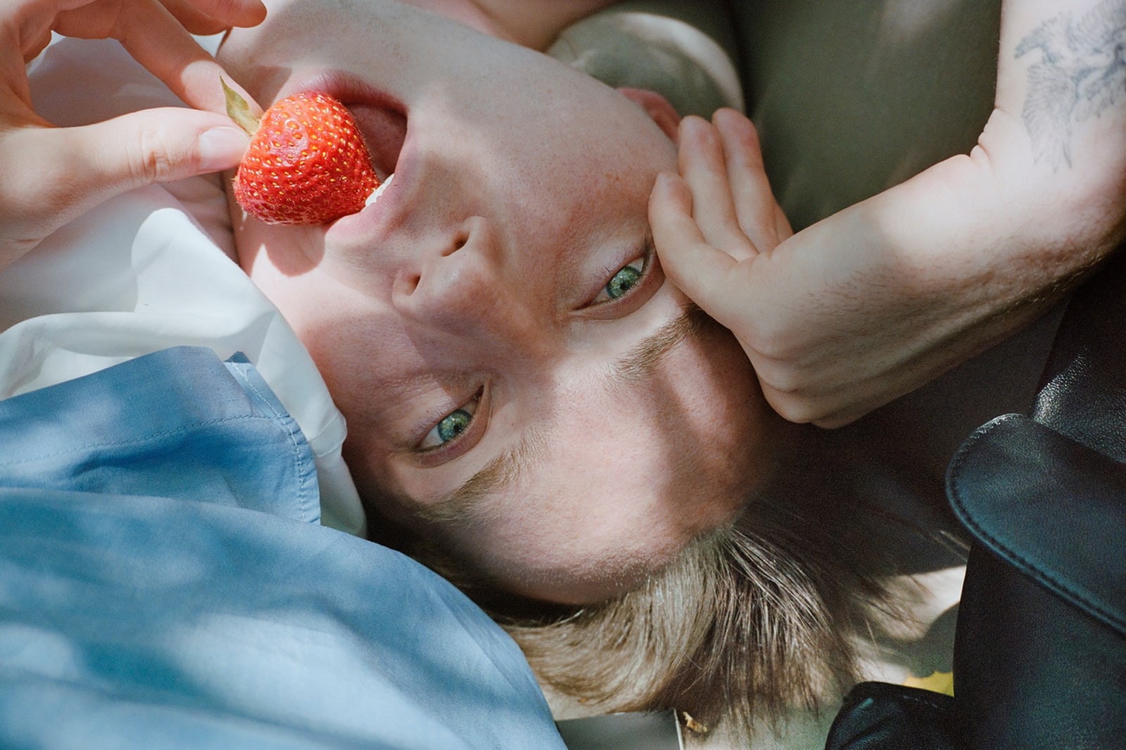 Sam Penn, Strawberry, 2024