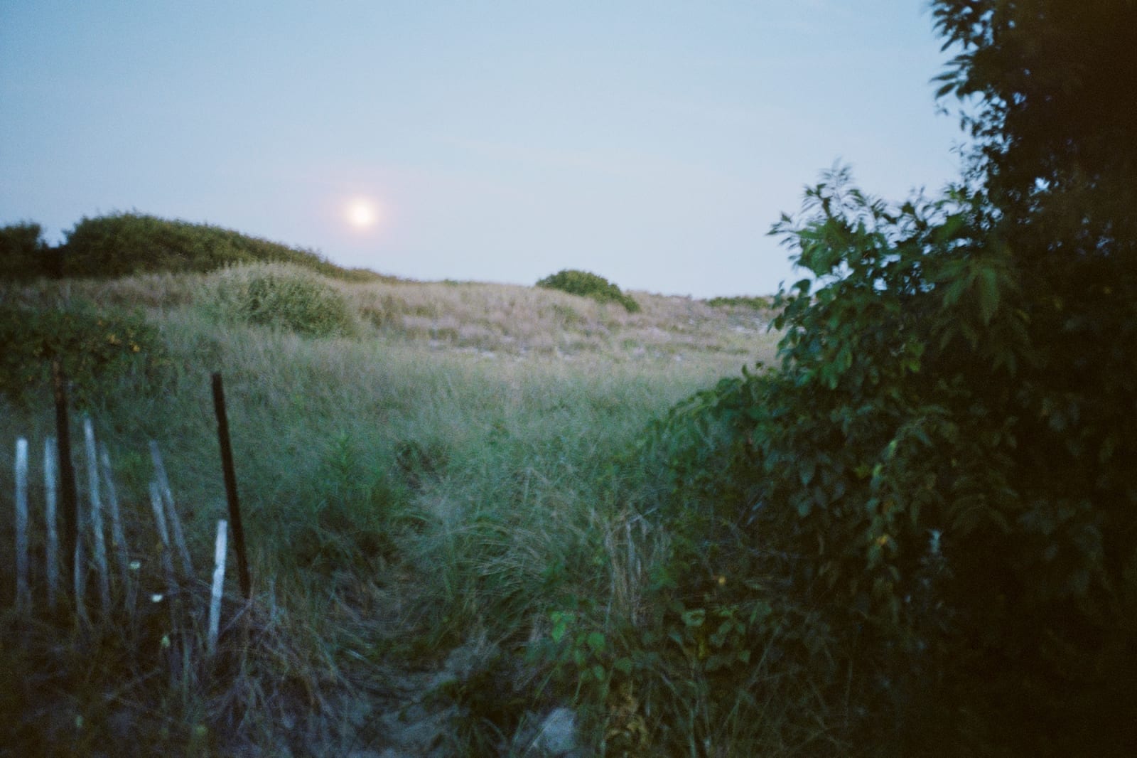 Sam Penn, Moon over Fort Tilden, 2025
