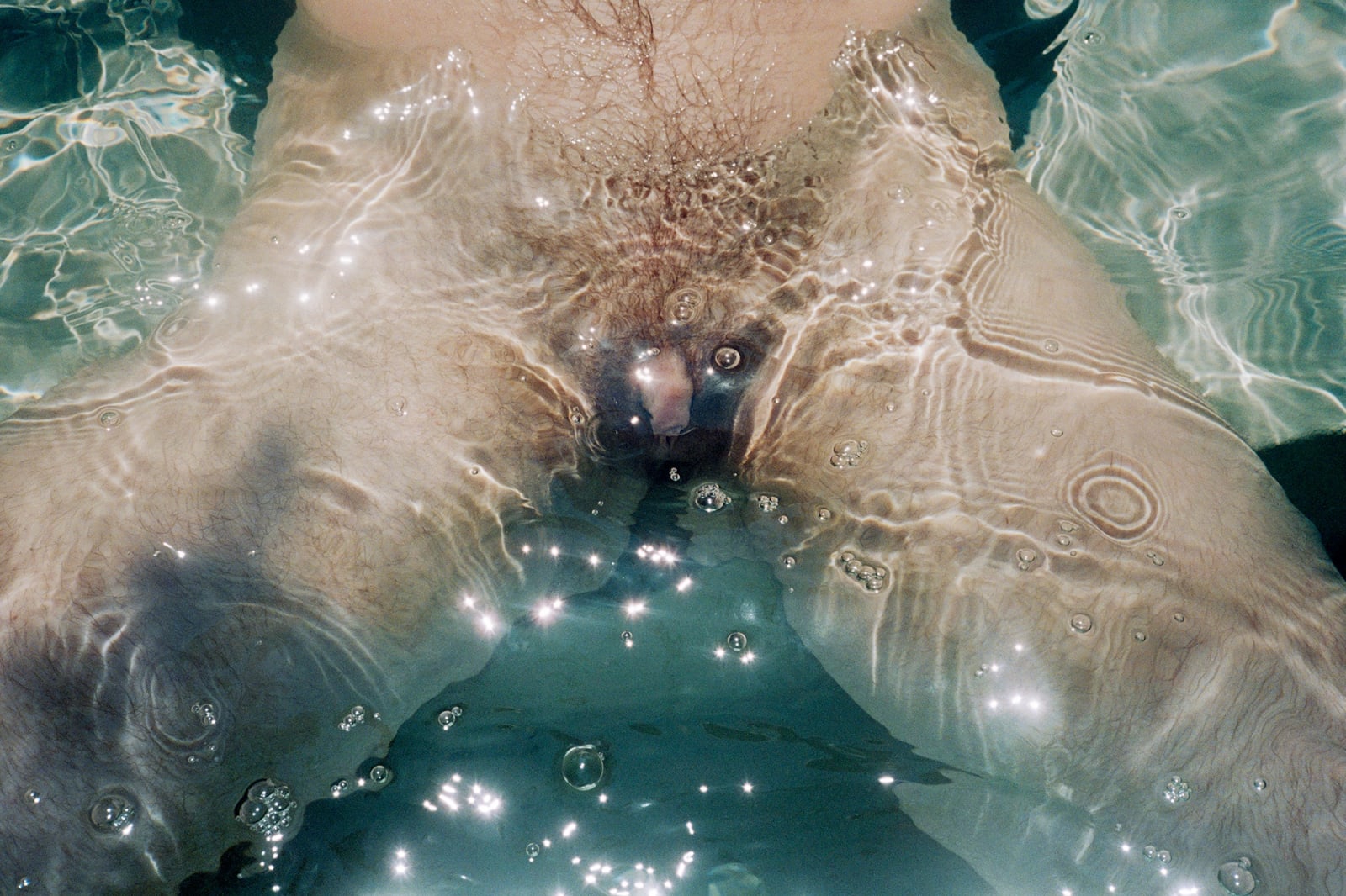 Sam Penn, Pool, 2025