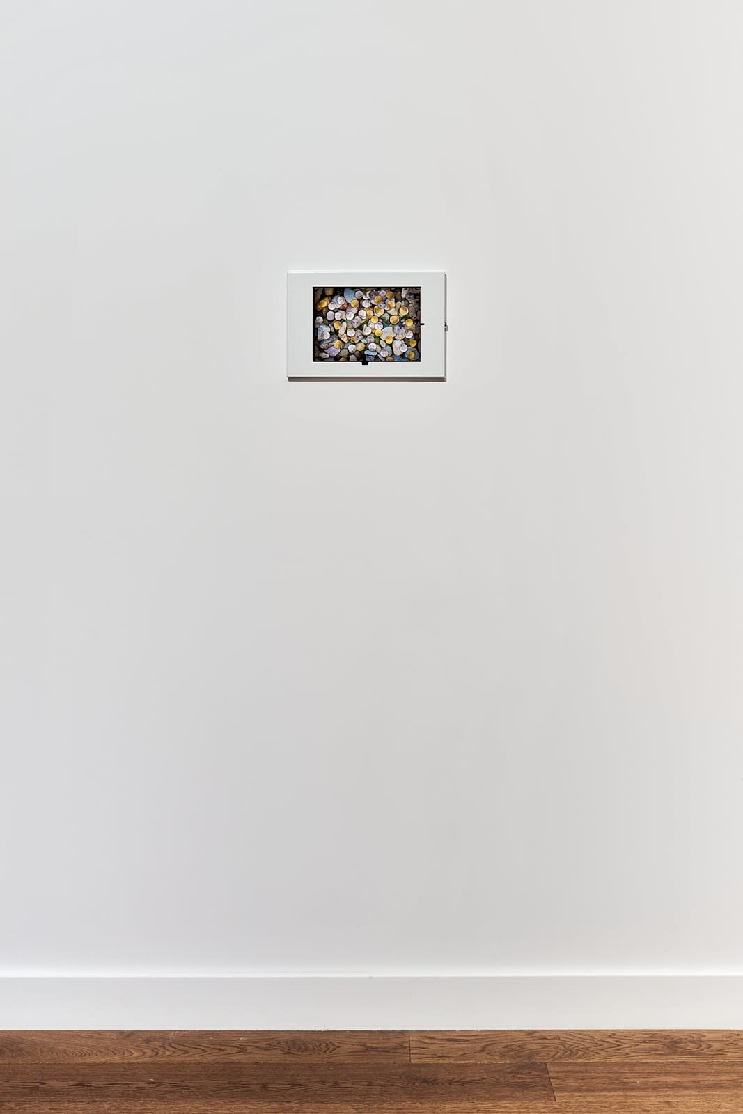 Harm van den Dorpel and Jonas Lund, Wishing Well.biz, 2013