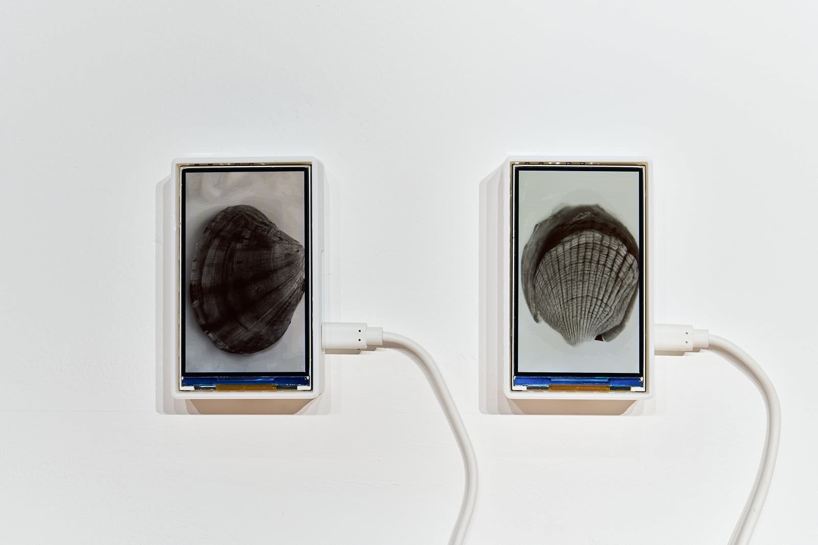 Anna Ridler, Putney Bridge, 2025