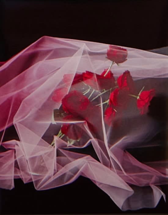 Addie Wagenknecht, Ghost No. 4, 2021