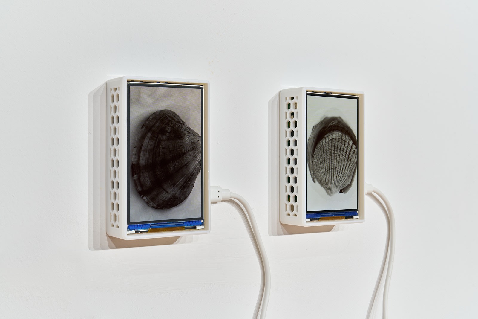 Anna Ridler, Putney Bridge, 2025