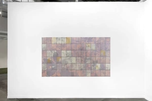 Sofia Crespo and Anna Ridler, 3.31424e+126 : clematis armandii, 2025