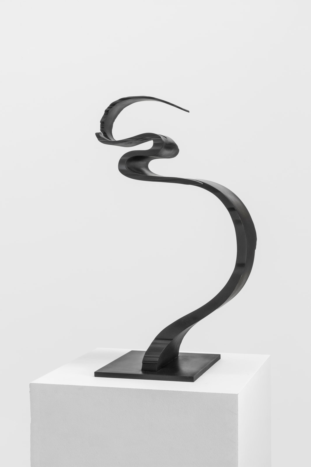 Nick Hornby, Twofold Reduction I, 2019