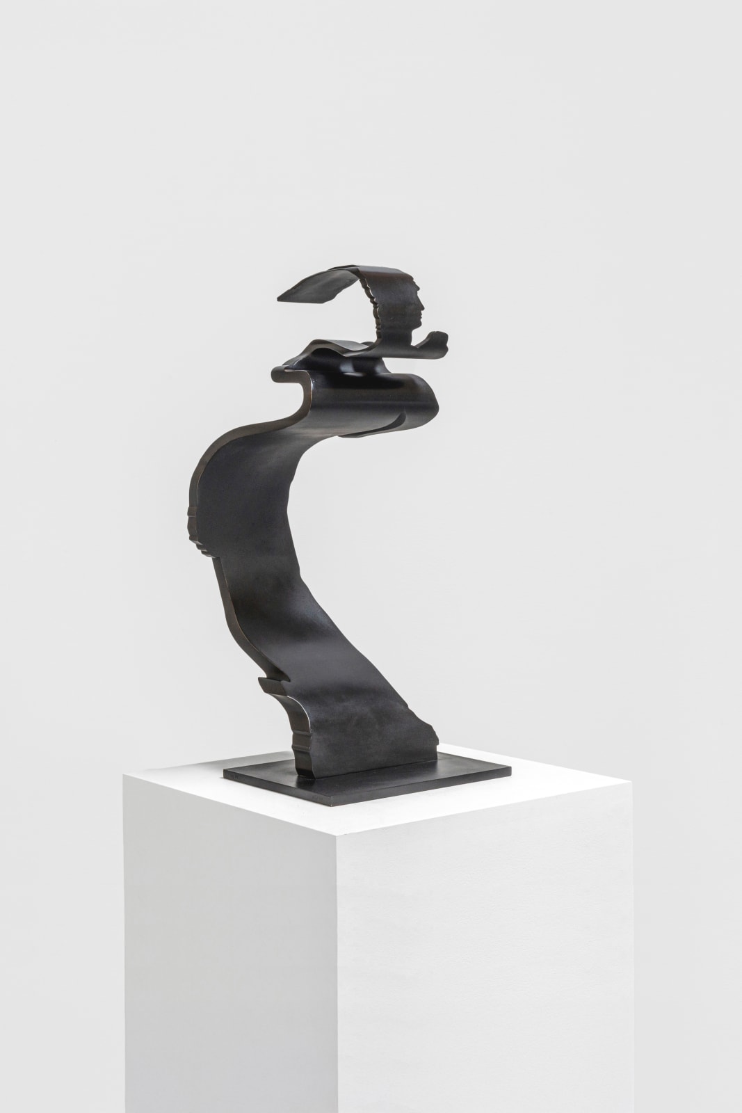 Nick Hornby, Twofold Reduction I, 2019